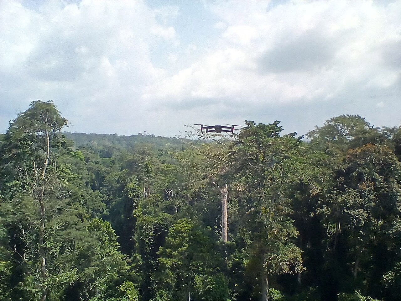 Do drone para a câmera de bolso