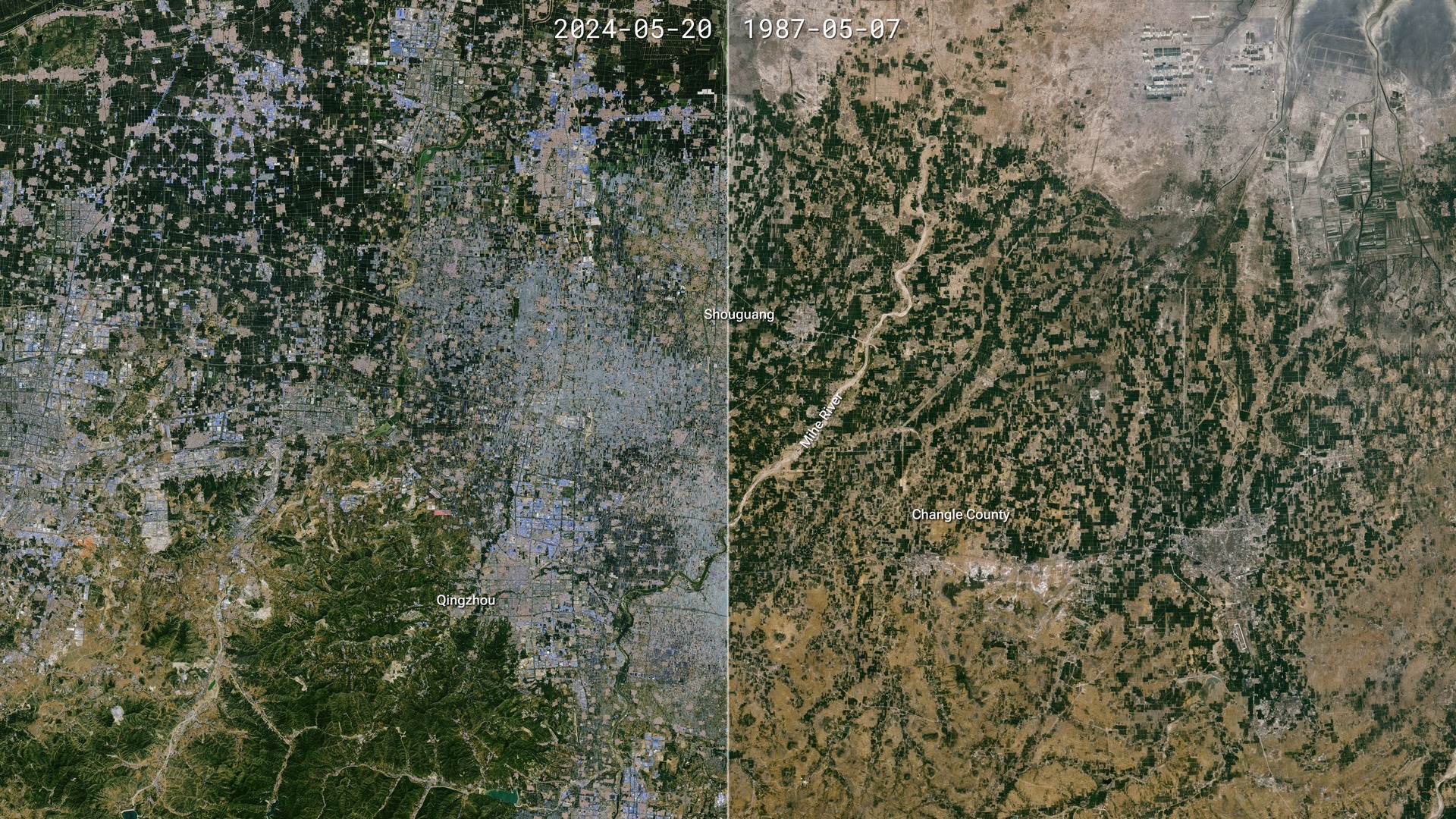 Frente 2: plantar mais e proteger a terra