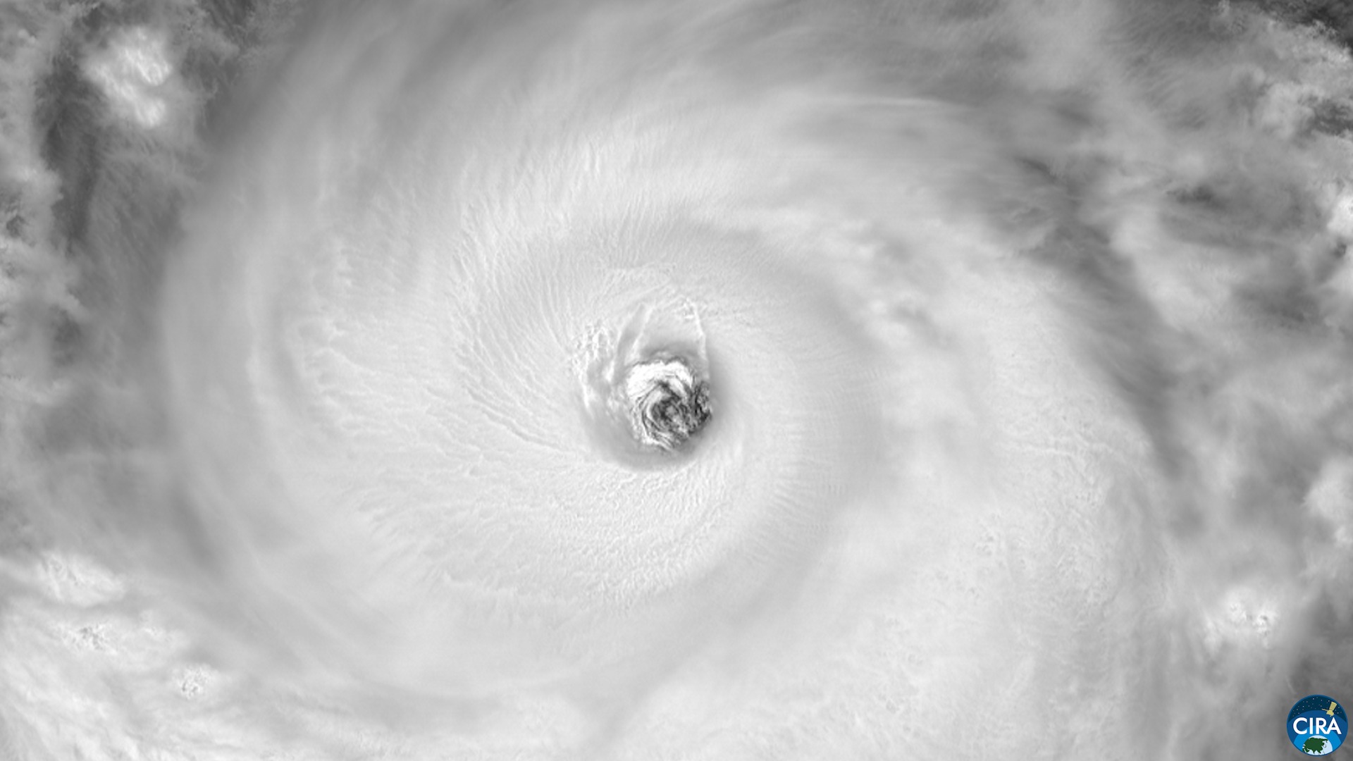 Bavi, o tufão que testou a costa rica