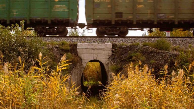 Um trem verde se move rapidamente sobre um trilho sobre um pequeno bueiro de concreto, cercado por grama alta e amarela, mostrando as vantagens do transporte eficiente em meio à natureza.