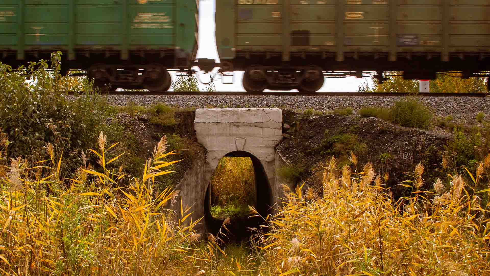 Um trem verde se move rapidamente sobre um trilho sobre um pequeno bueiro de concreto, cercado por grama alta e amarela, mostrando as vantagens do transporte eficiente em meio à natureza.