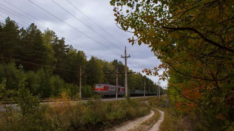 Um trem vermelho com compartimentos de contêineres viaja por uma área florestal ao lado de uma trilha de terra sob um céu nublado, que lembra as rotas panorâmicas da China.