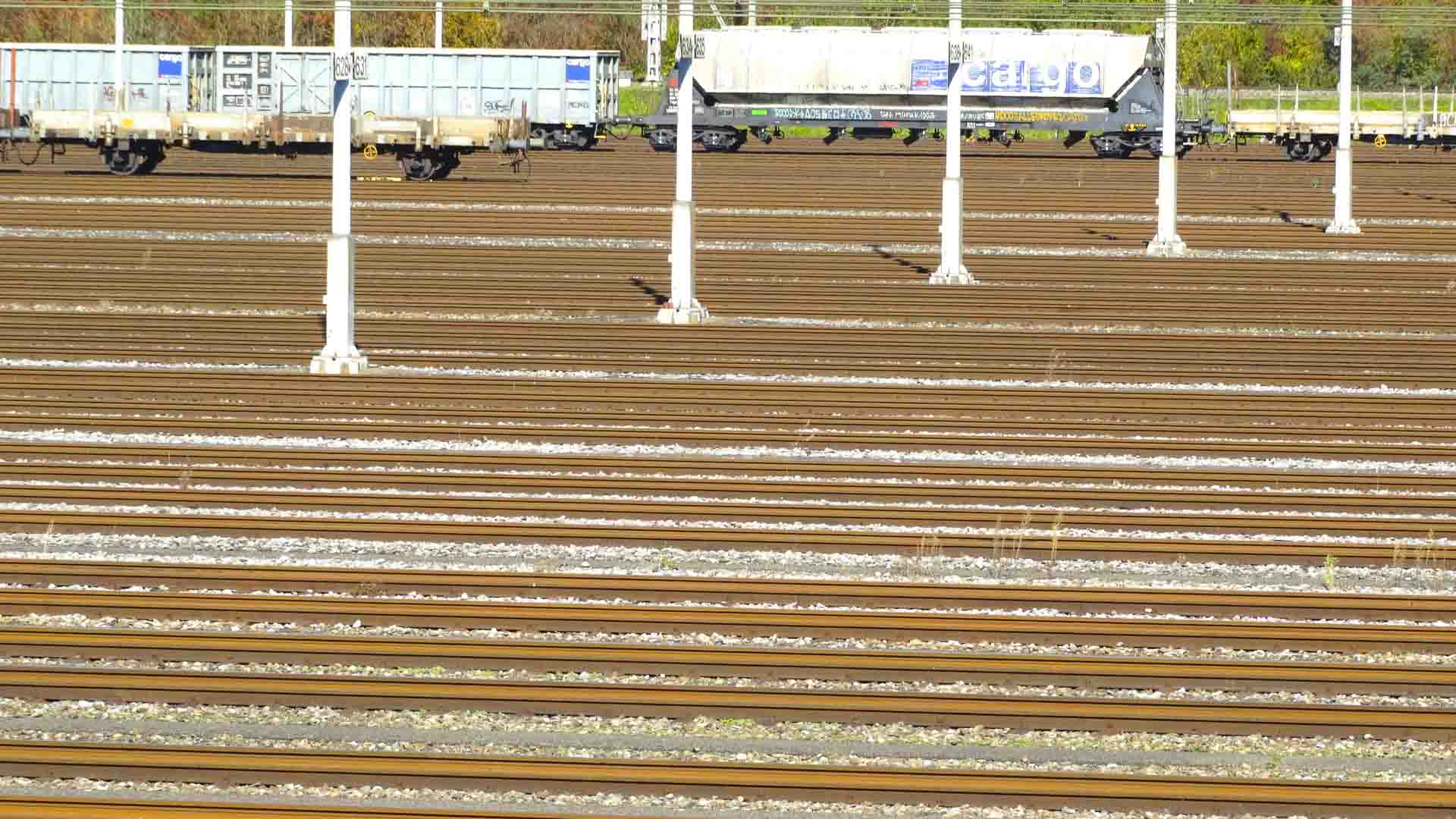 Um pátio ferroviário com vários trilhos paralelos, vagões de carga ao fundo e postes verticais uniformemente espaçados ao longo dos trilhos oferece dicas imperdíveis para aqueles interessados em operações logísticas.