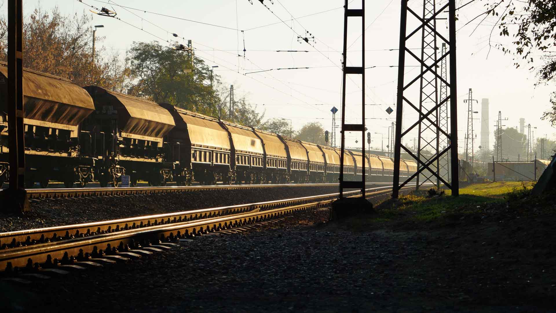 Um longo trem de carga com vários vagões, utilizado por distribuidores, desliza pelos trilhos tendo como pano de fundo árvores e postes de serviços públicos.