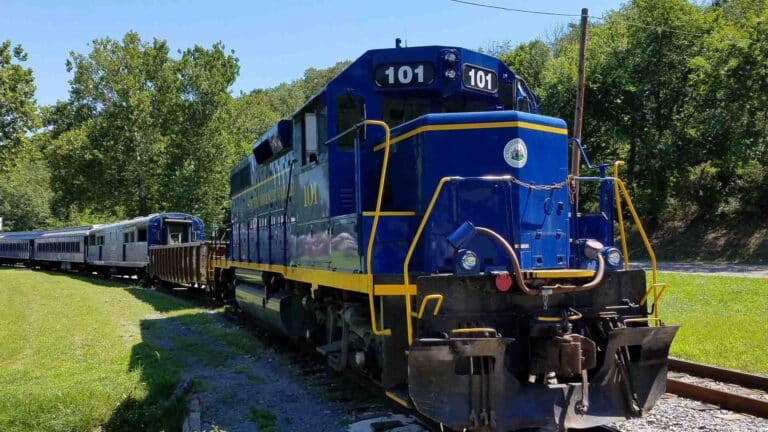 Locomotiva azul e amarela de número 101 sobre trilhos em um ambiente externo verde e arborizado, lembrando a eficiência vibrante de um Guia Completo sobre como importar da China.