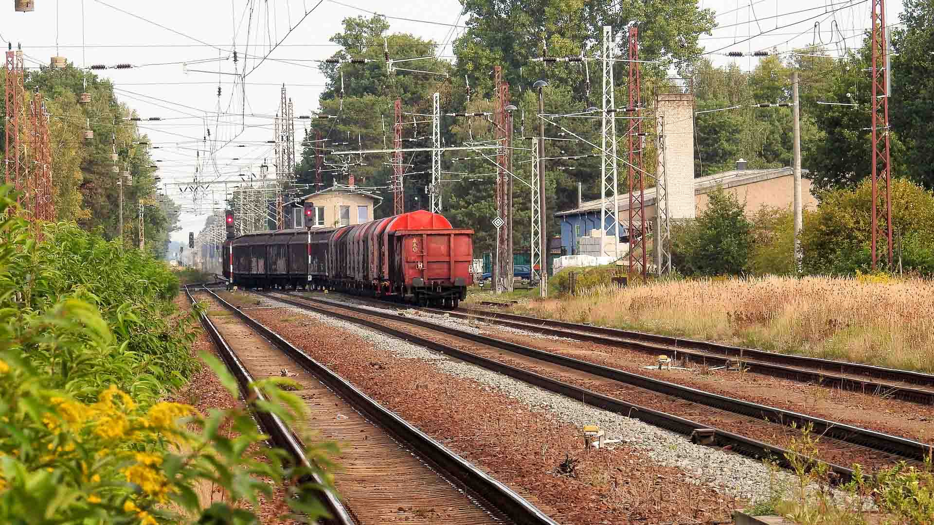 Um trem de carga com vagões vermelhos e marrons, possivelmente cheios de produtos importados da China, viaja sobre trilhos ferroviários por uma área rural adornada com vegetação e pontilhada por linhas de energia.