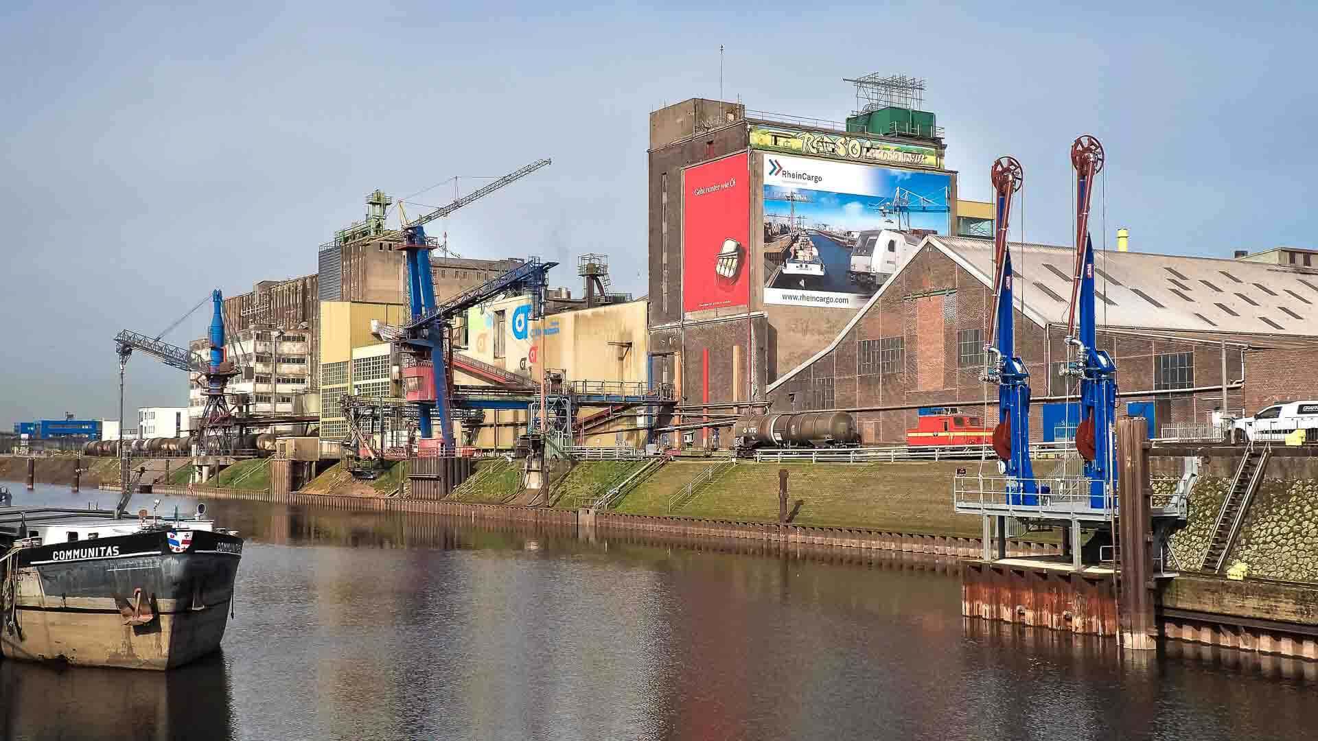 Image for post 260