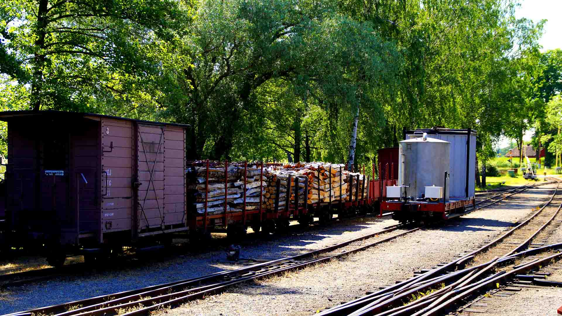 Um trem de carga com vários vagões de madeira, incluindo vagões abertos carregados com toras, rola ao longo de uma ferrovia cercada por árvores, exemplificando as tendências de produtos em evolução no transporte à medida que nos aproximamos de 2025.