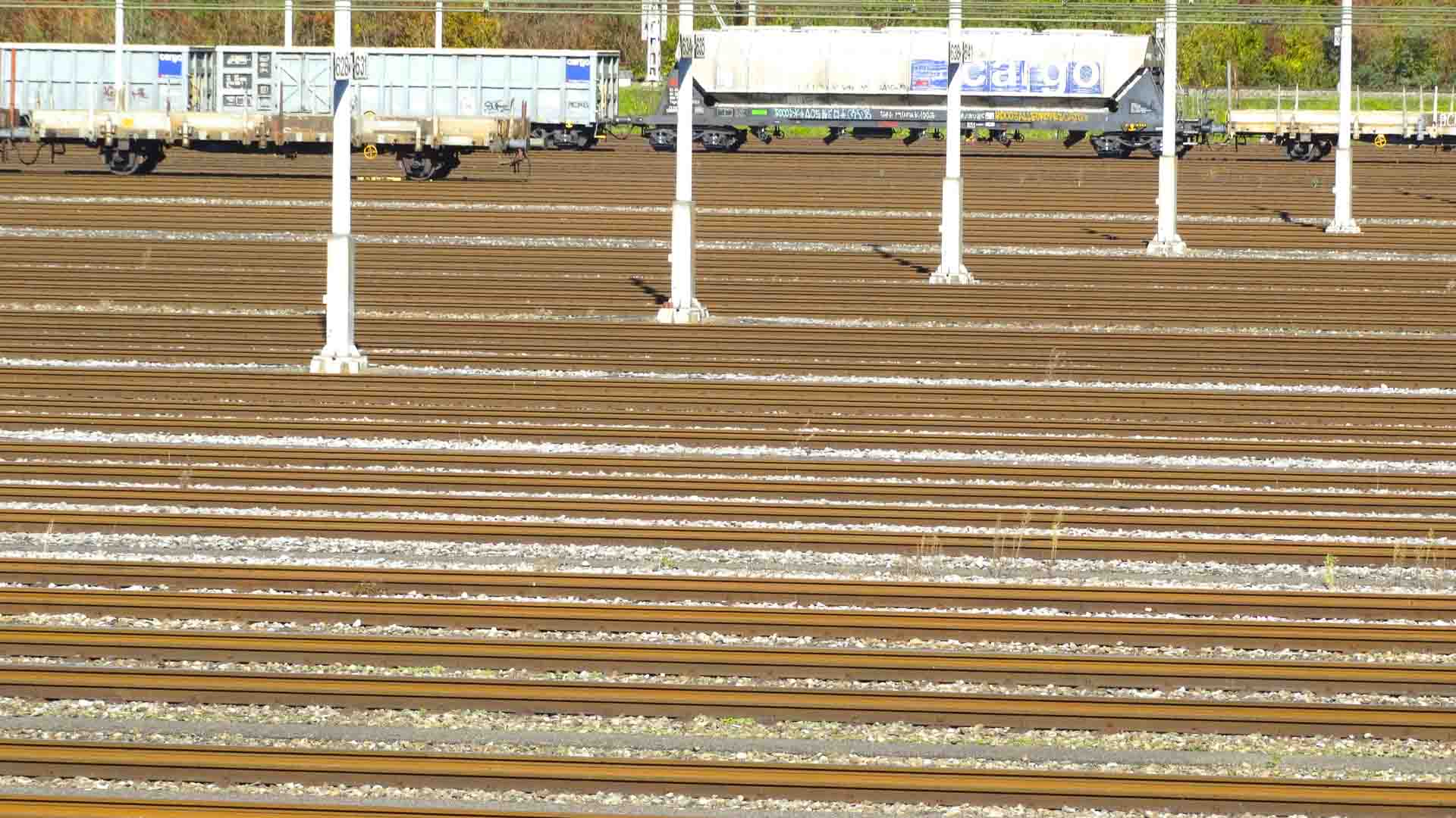 Em meio a vários trilhos de trem e fileiras de postes brancos, trens de carga se avultam ao fundo, ressaltando seu papel crucial na importação. Esta cena movimentada destaca os benefícios que tais redes logísticas eficientes trazem para o negócio moderno.